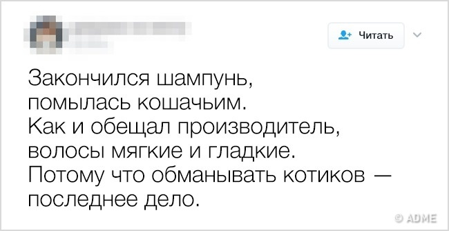 13 твітів про те, що маленькі слабкості є у всіх
