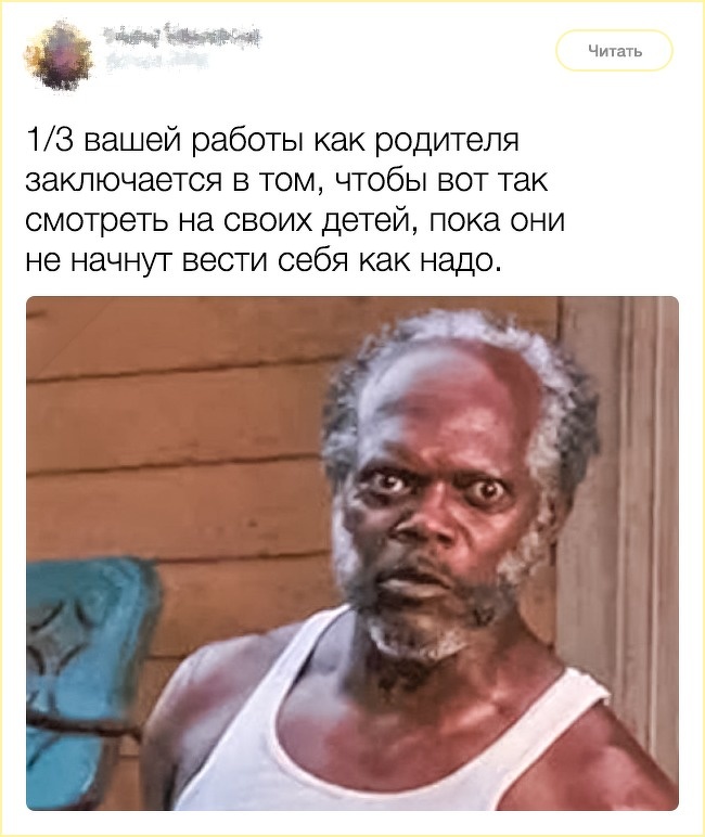 13 твітів від людей, на чиєму почутті гумору тримається весь інтернет