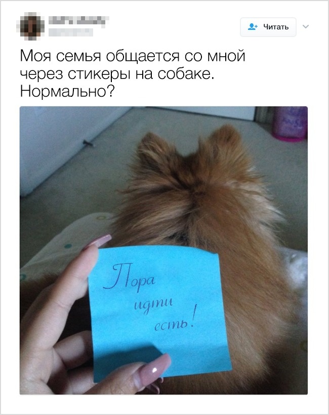 13 відвертих твітів від людей, в чиїх сім’ях не засумуєш