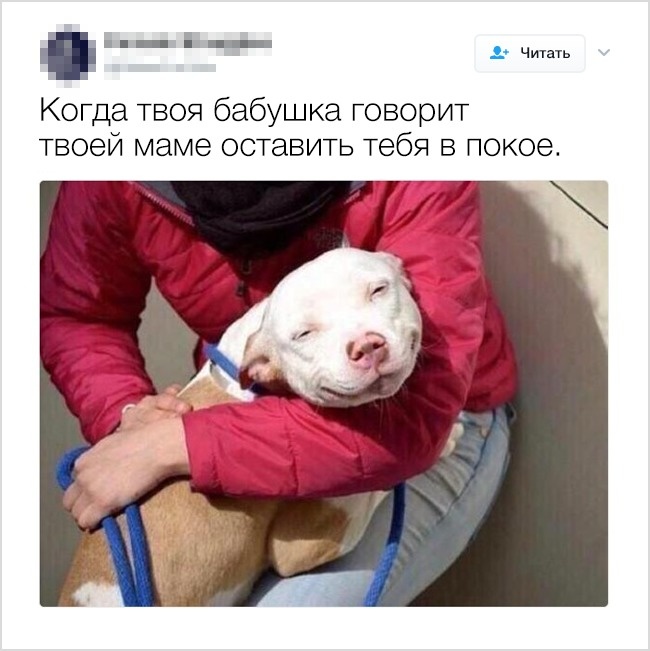 13 відвертих твітів від людей, в чиїх сім’ях не засумуєш