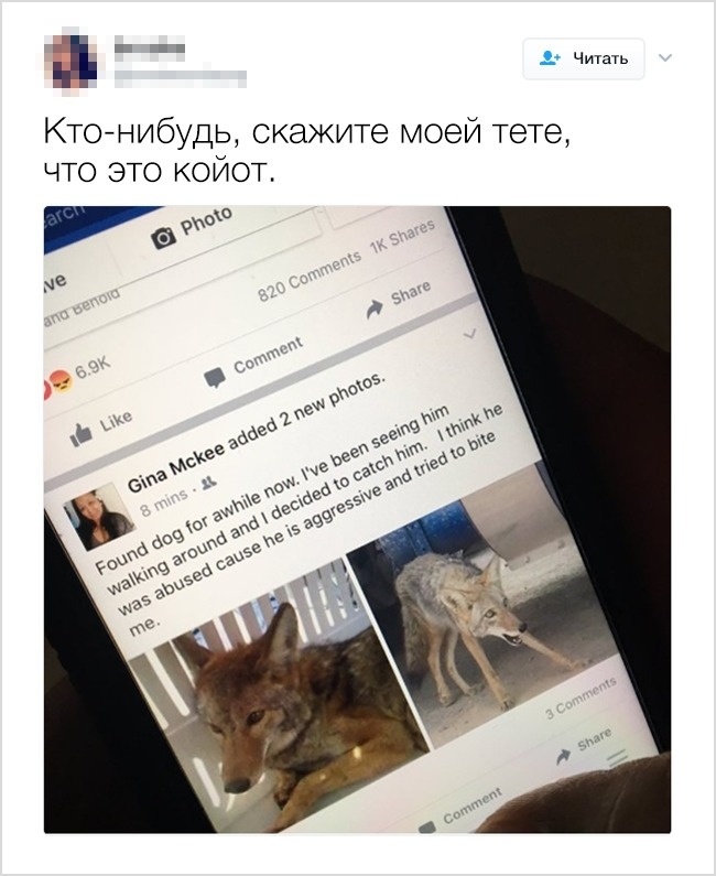 13 відвертих твітів від людей, в чиїх сім’ях не засумуєш