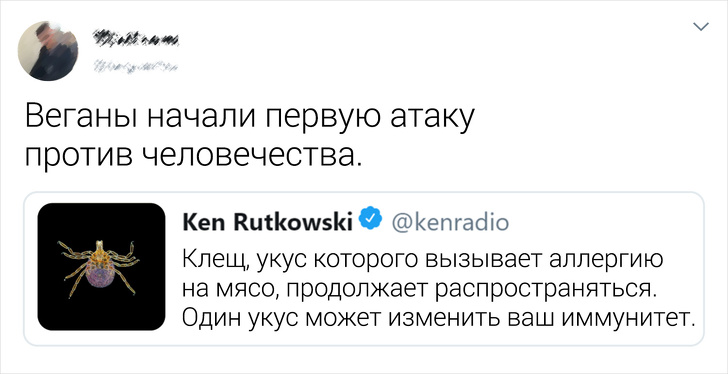 13 випадків, коли коментарі виявилися крутіше самого посту