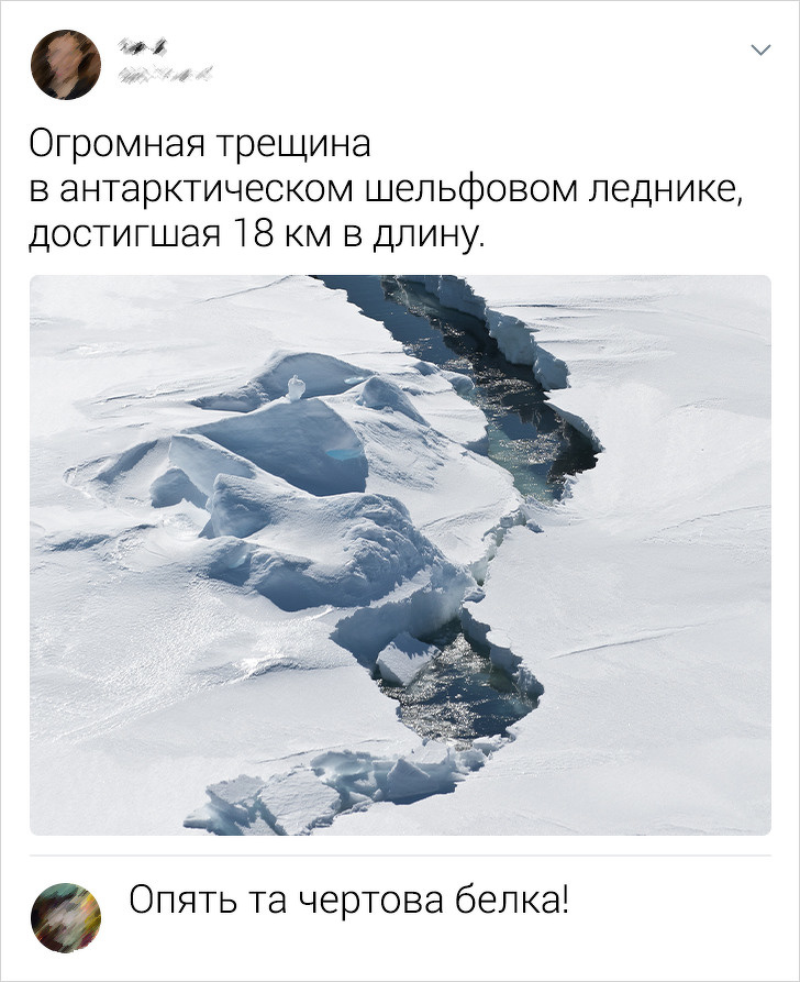 13 випадків, коли коментарі виявилися крутіше самого посту