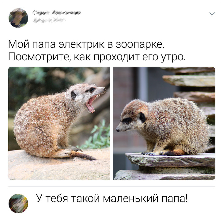 13 випадків, коли коментарі виявилися крутіше самого посту
