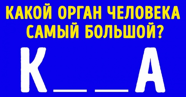 13 запитань, відповіді на які знає кожен школяр. А ви знаєте?