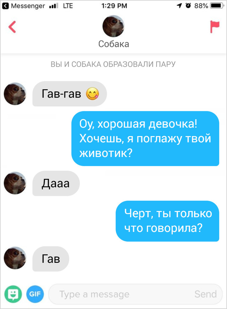 14 доказів того, що на сайтах знайомств можна шукати не тільки пару, але і гарний настрій