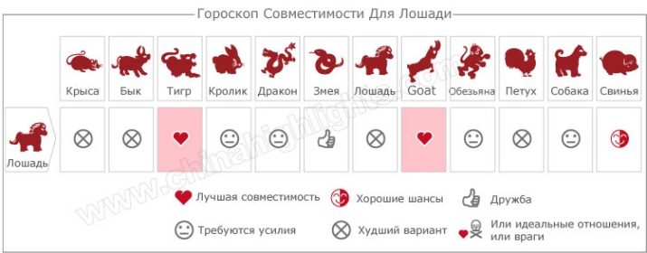 2002 – рік якої тварини? 19 фото Якою зодіак був за східним календарем? Характер людей 2002 року народження за китайським календарем