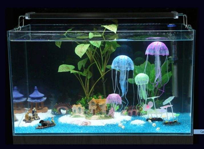 Акваріум з медузами (12 фото): зміст прісноводних акваріумних медуз будинку. Якими бувають медузи для акваріума?