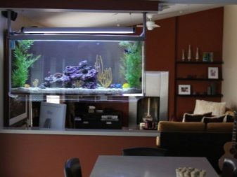 Акваріуми в стіні (35 фото): вбудований плоский акваріум між кімнатами, підвісний тонкий акваріум в ніші і інші варіанти. Їх дизайн