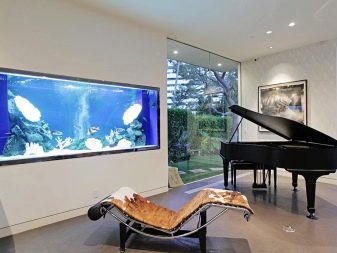 Акваріуми в стіні (35 фото): вбудований плоский акваріум між кімнатами, підвісний тонкий акваріум в ніші і інші варіанти. Їх дизайн