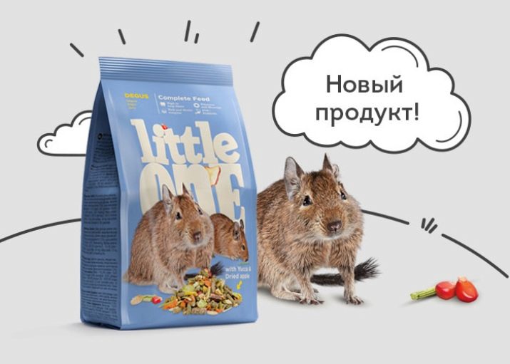 Чим годувати дегу? Як вибрати корм для чилійської білки? Особливості годівлі дегу в домашніх умовах. Можна їм яблука, волоські горіхи та гречку?