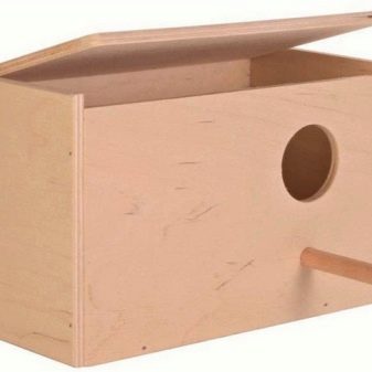 Дім і гніздо для папуг (36 фото): як зробити будиночок для розведення папуг своїми руками в домашніх умовах? Розміри гнізда. Що потрібно стелити в будиночок?