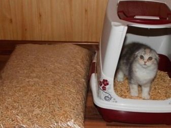 Деревне наповнювач для котячого туалету (18 фото): як користуватися і як часто міняти комкующийся наповнювач для котів? Можна змити його в унітаз? Як вибрати кращий? Відгуки