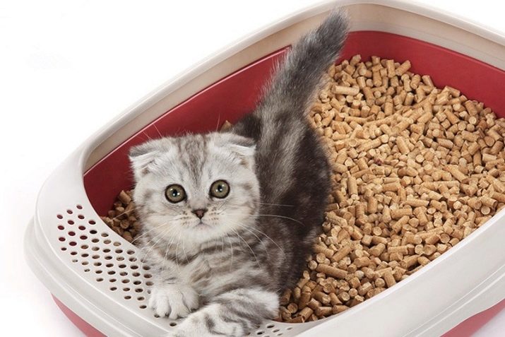 Деревне наповнювач для котячого туалету (18 фото): як користуватися і як часто міняти комкующийся наповнювач для котів? Можна змити його в унітаз? Як вибрати кращий? Відгуки