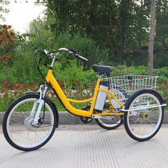 Дорослі триколісні електровелосипеди: огляд моделей велосипедів з електроприводом, плюси і мінуси електричних 3-колісних велосипедів