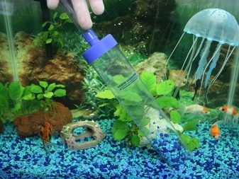Фосфати в акваріумі (15 фото): як знизити або підвищити рівень фосфатів? Як підняти або знизити вміст фосфатів в акваріумі-травник? Норма змісту і тест на кількість