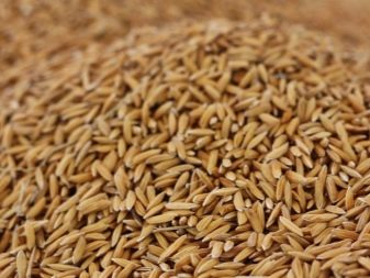 Гіпоалергенні корми супер-преміум класу для собак (18 фото): як вибрати гіпоалергенний корм для цуценят і дорослих собак?