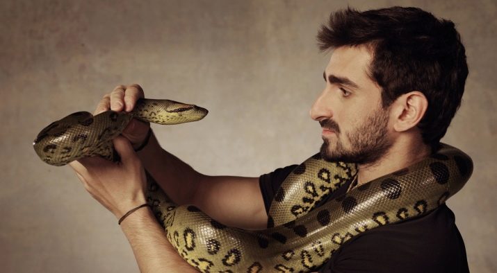 Герпетофобия: як називається боязнь змій і рептилій? Чому виникає така фобія? Її симптоми і лікування