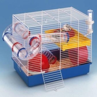 Клітини для джунгарських хом’яків (25 фото): чому джунгарик гризе прути? Розміри клітин. Як вибрати клітину і правильно облаштувати її?