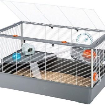 Клітини для джунгарських хом’яків (25 фото): чому джунгарик гризе прути? Розміри клітин. Як вибрати клітину і правильно облаштувати її?