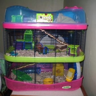 Клітини для джунгарських хом’яків (25 фото): чому джунгарик гризе прути? Розміри клітин. Як вибрати клітину і правильно облаштувати її?