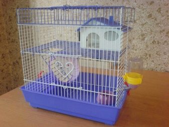 Клітини для джунгарських хом’яків (25 фото): чому джунгарик гризе прути? Розміри клітин. Як вибрати клітину і правильно облаштувати її?