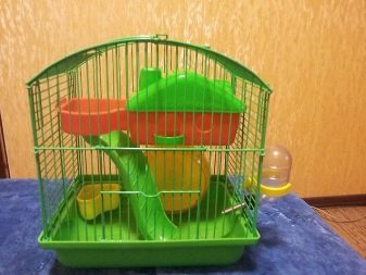 Клітини для джунгарських хом’яків (25 фото): чому джунгарик гризе прути? Розміри клітин. Як вибрати клітину і правильно облаштувати її?