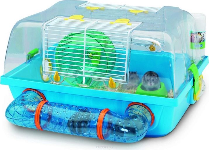 Клітини для джунгарських хом’яків (25 фото): чому джунгарик гризе прути? Розміри клітин. Як вибрати клітину і правильно облаштувати її?