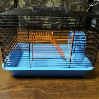 Клітини для джунгарських хом’яків (25 фото): чому джунгарик гризе прути? Розміри клітин. Як вибрати клітину і правильно облаштувати її?