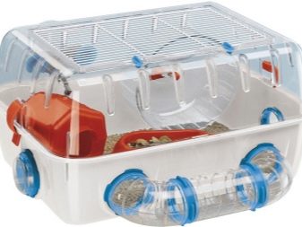 Клітини для джунгарських хом’яків (25 фото): чому джунгарик гризе прути? Розміри клітин. Як вибрати клітину і правильно облаштувати її?