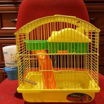 Клітини для джунгарських хом’яків (25 фото): чому джунгарик гризе прути? Розміри клітин. Як вибрати клітину і правильно облаштувати її?