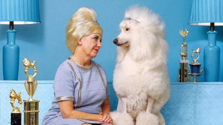 Клички для пуделів: оригінальні і красиві імена для цуценя-хлопчика, забавні і креативні варіанти назв, якими можна назвати пуделів-дівчаток