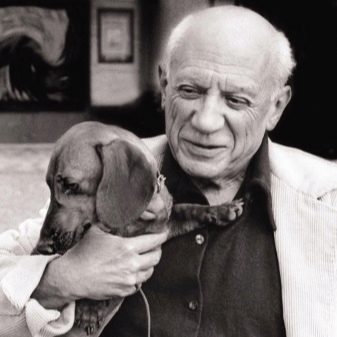 Клички для такс: оригінальні імена і рідкісні клички для цуценя такси