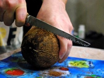 Кокос в акваріумі (23 фото): як зробити будиночок для рибок своїми руками? Як підготувати і обробити шкаралупу?