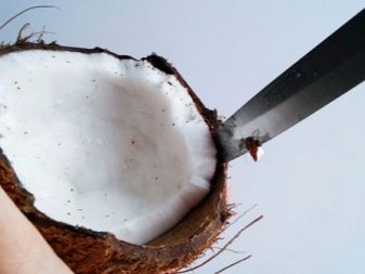 Кокос в акваріумі (23 фото): як зробити будиночок для рибок своїми руками? Як підготувати і обробити шкаралупу?