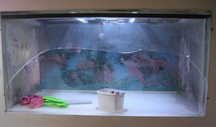 Лопнув акваріум (18 фото): як склеїти його своїми руками, якщо тріснув по шву? Чим заклеїти скла в домашніх умовах?