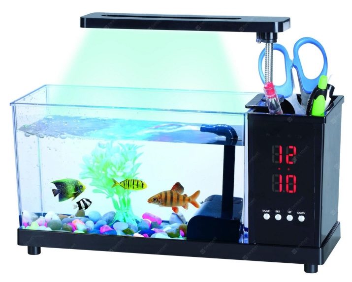 Міні-акваріуми (12 фото): якихось рибок завести в маленькому акваріумі? Що потрібно для маленьких акваріумів? Світильники і рослини для невеликого акваріума