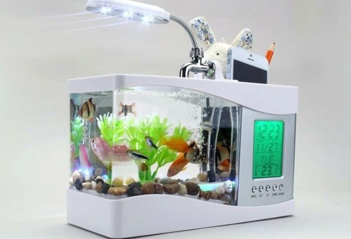 Міні-акваріуми (12 фото): якихось рибок завести в маленькому акваріумі? Що потрібно для маленьких акваріумів? Світильники і рослини для невеликого акваріума