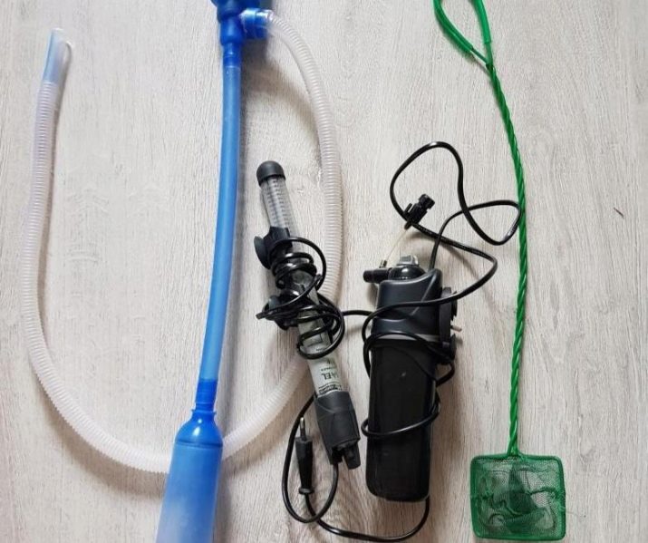 Міні-акваріуми (12 фото): якихось рибок завести в маленькому акваріумі? Що потрібно для маленьких акваріумів? Світильники і рослини для невеликого акваріума