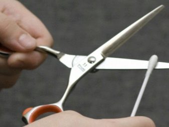 Ножиці для стрижки собак: огляд професійних филировочных ножиць і закруглених. Які ножиці краще вибрати для грумінгу собак?