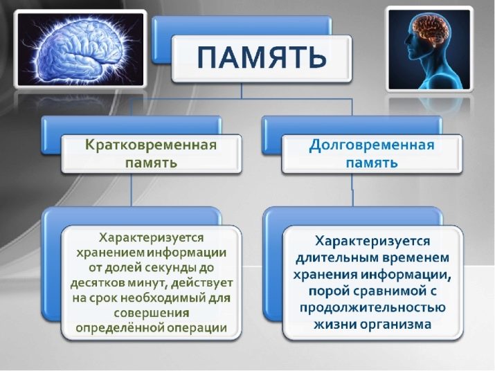 Оперативна пам’ять в психології: що являє собою? Як прокачати її? Варіанти тренувань і вправ