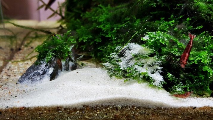 Пісок для акваріума (16 фото): плюси і мінуси крупного річкового, кольорового та інших пісків. Як промити його своїми руками?