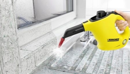 Пароочисник Karcher (47 фото): праски з парогенератором, професійні та ручні відпарювачі. Як користуватися для прибирання квартири?