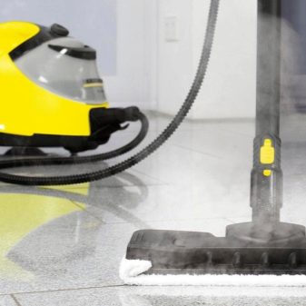 Пароочисник Karcher (47 фото): праски з парогенератором, професійні та ручні відпарювачі. Як користуватися для прибирання квартири?