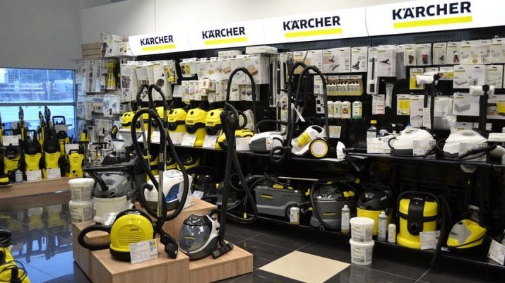 Пароочисник Karcher (47 фото): праски з парогенератором, професійні та ручні відпарювачі. Як користуватися для прибирання квартири?