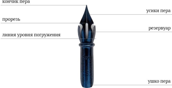 Перо для каліграфії: види пір’яний каліграфічної ручки, правила вибору, використання набору