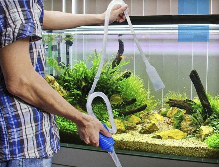 Як продезінфікувати акваріум? 14 фото Правила дезінфекції акваріумних рослин. Як дезінфікувати акваріум після загибелі рибок марганцівкою або перекисом водню?