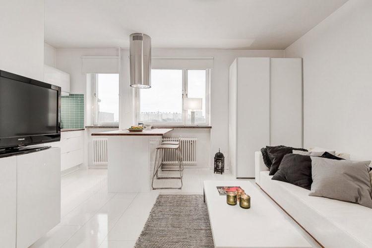 200 идей дизайна интерьера квартиры-студии 25 кв. м с фото ?