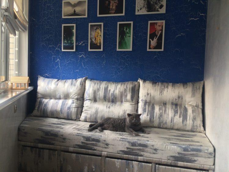 200 идей дизайна интерьера лоджии с фото ?