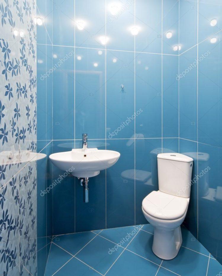 200 идей дизайна интерьера маленького туалета с фото ?